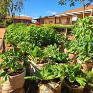 Promote integrated conservation and sustainable livelihood development initiatives to forest-dependant communities and smallholder farmers in Tanganyika district
