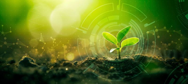 Sustainable Agriculture Practices in Rural Tanzania