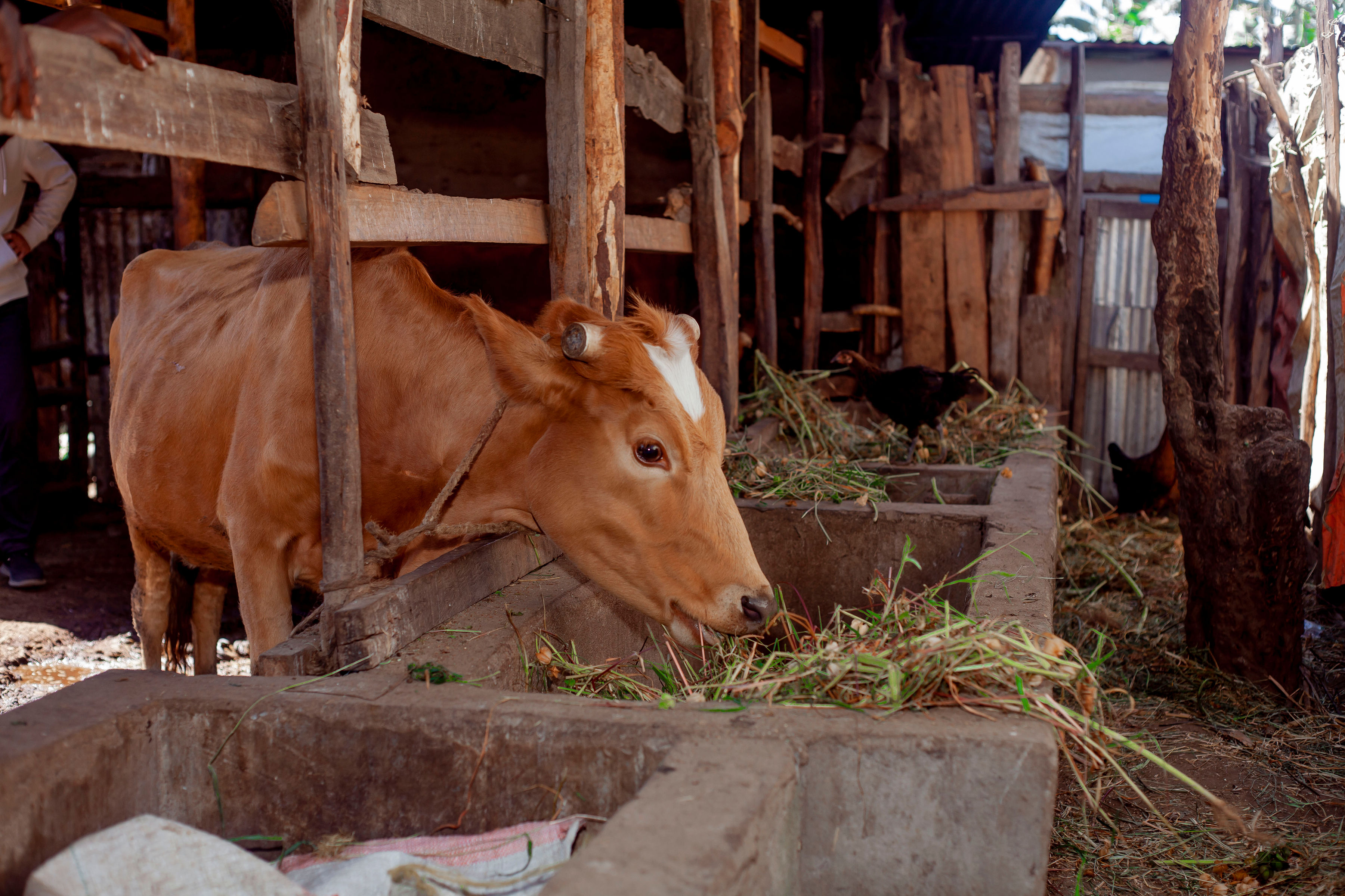 Evidence That Drives Action — Research rooted in real community needs